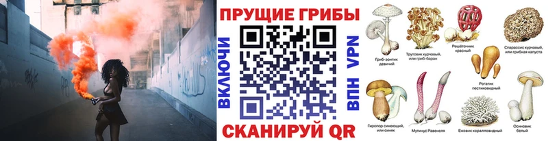 Псилоцибиновые грибы ЛСД  даркнет сайт  Новомосковск 
